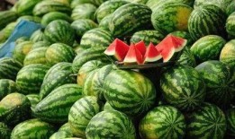 张凌赫最新吃瓜爆料,揭秘娱乐圈不为人知的幕后真相